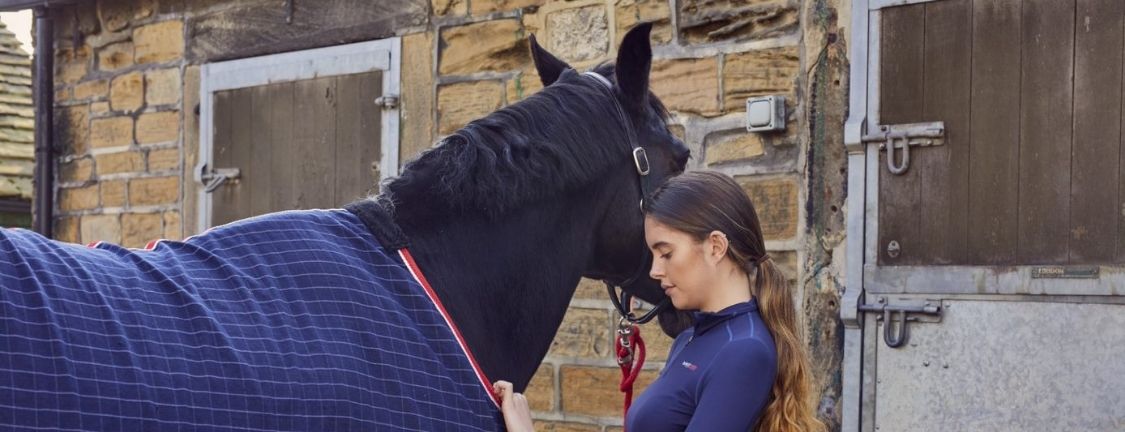 Clipping Horses