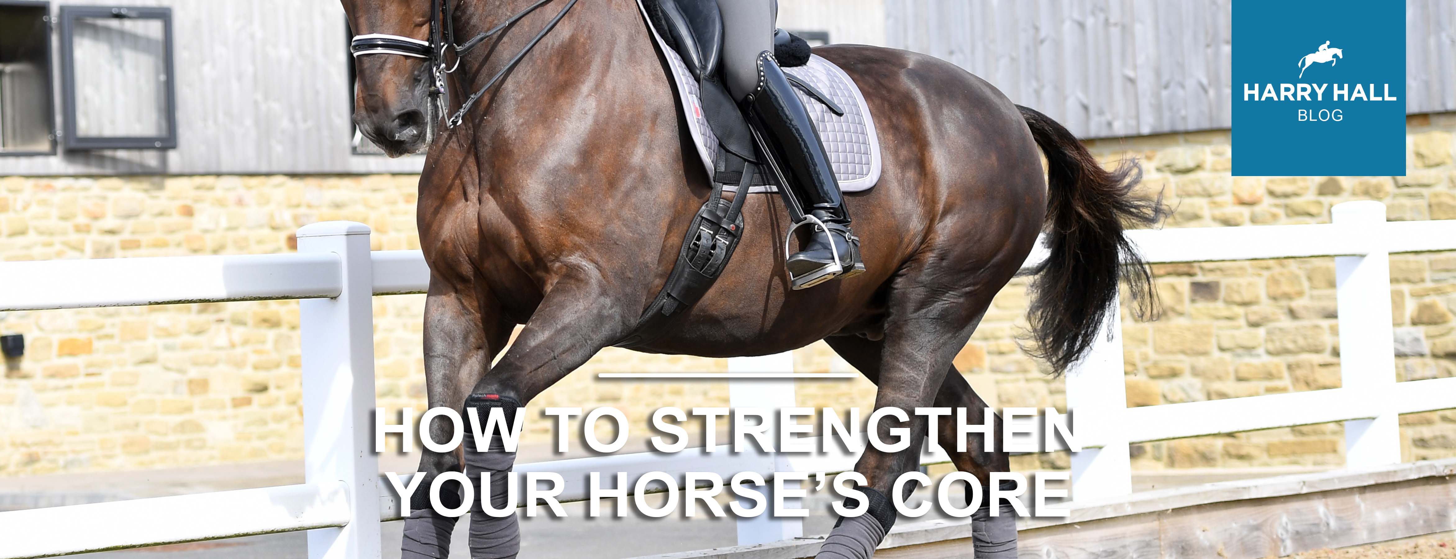 Improve Your Horse's Core