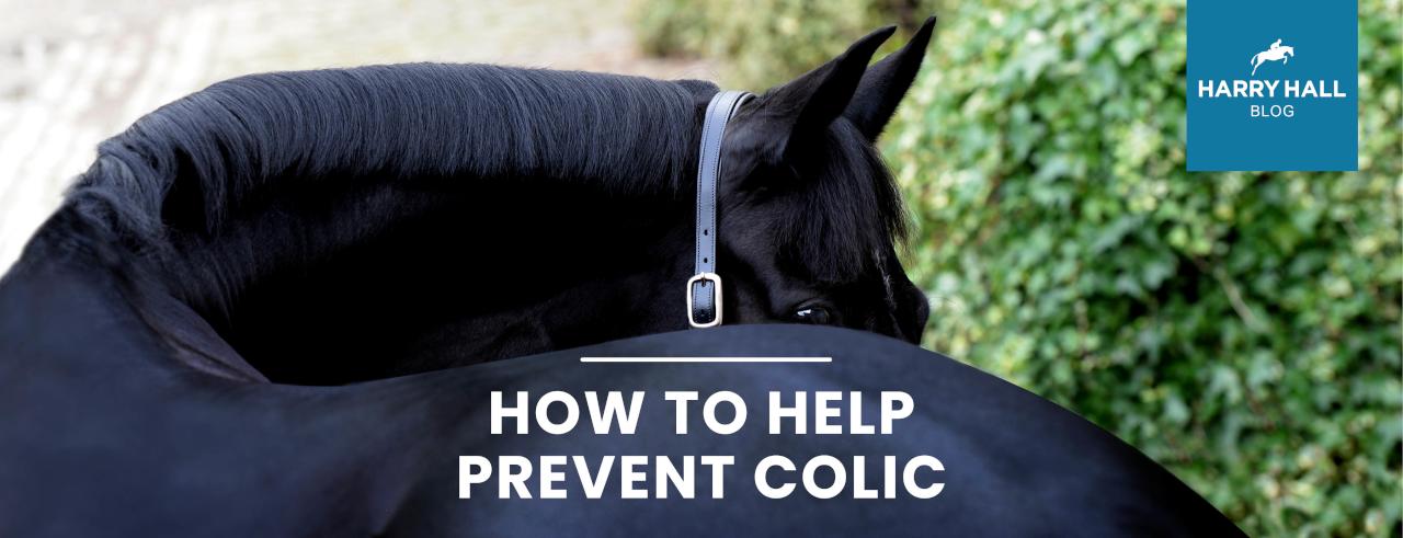 How to Help Prevent Horse Colic