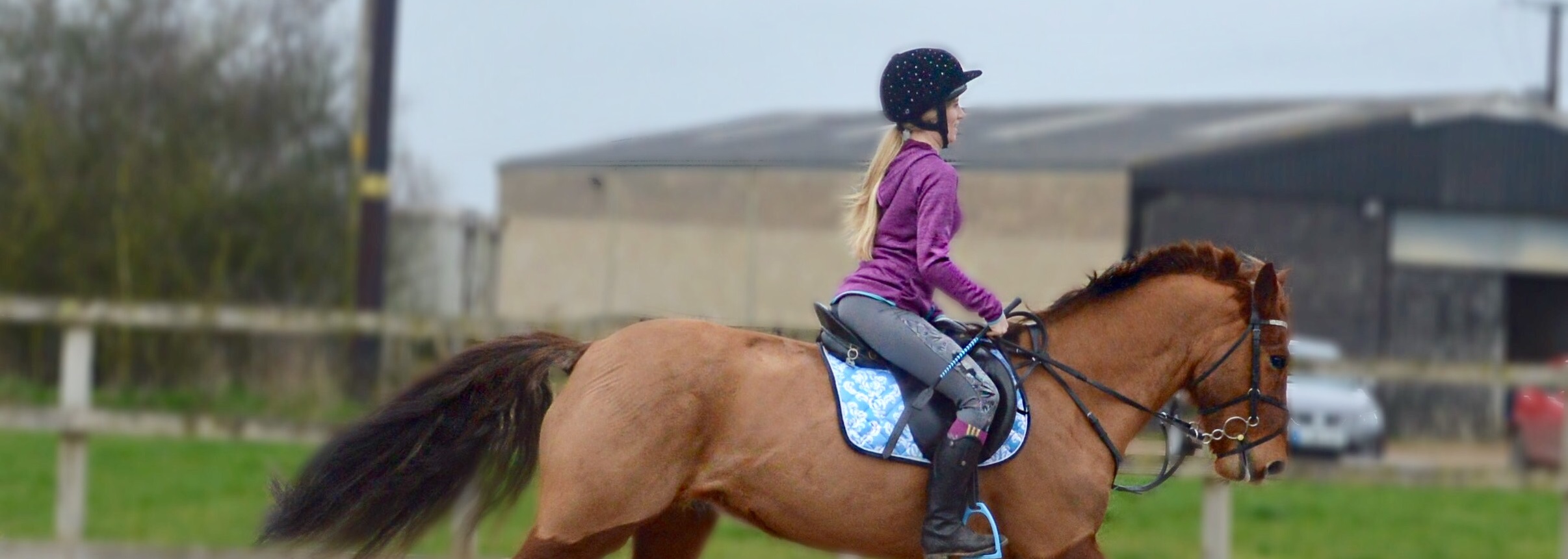 Cantering into Spring