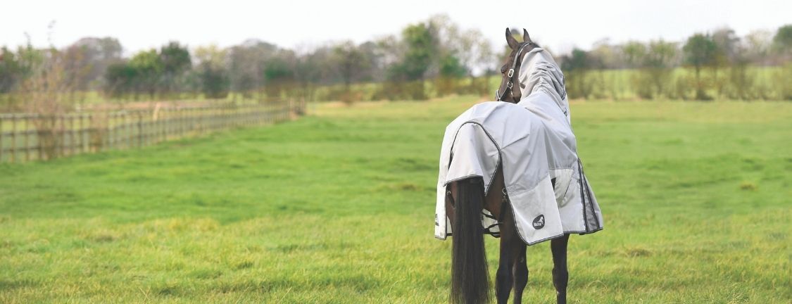 The ultimate guide to Horse rugs