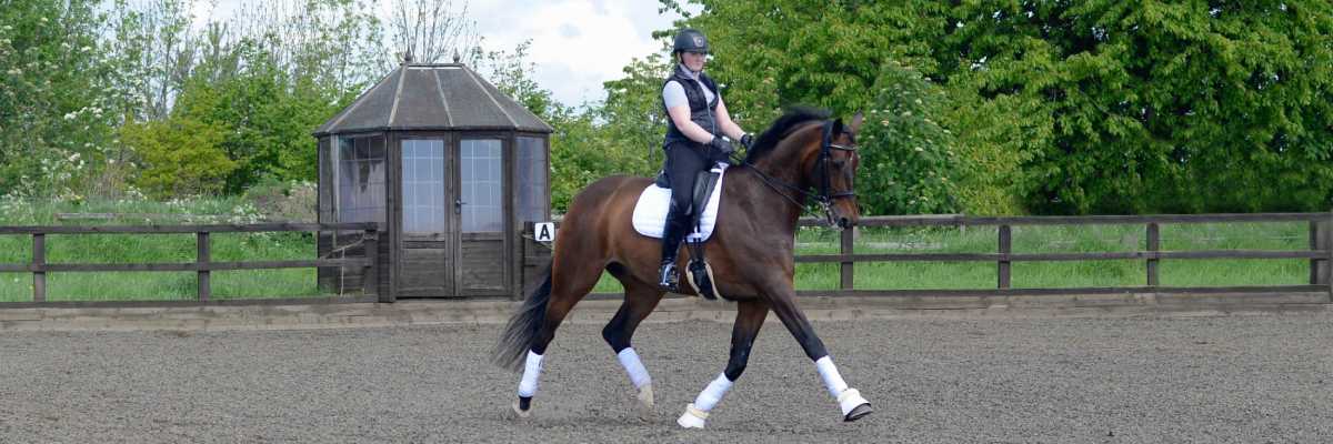 riding shoulder in in dressage