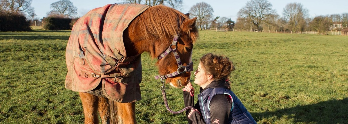 10 Things All Pony Owners Know