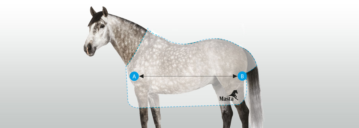 Measuring Your Horse For a Rug