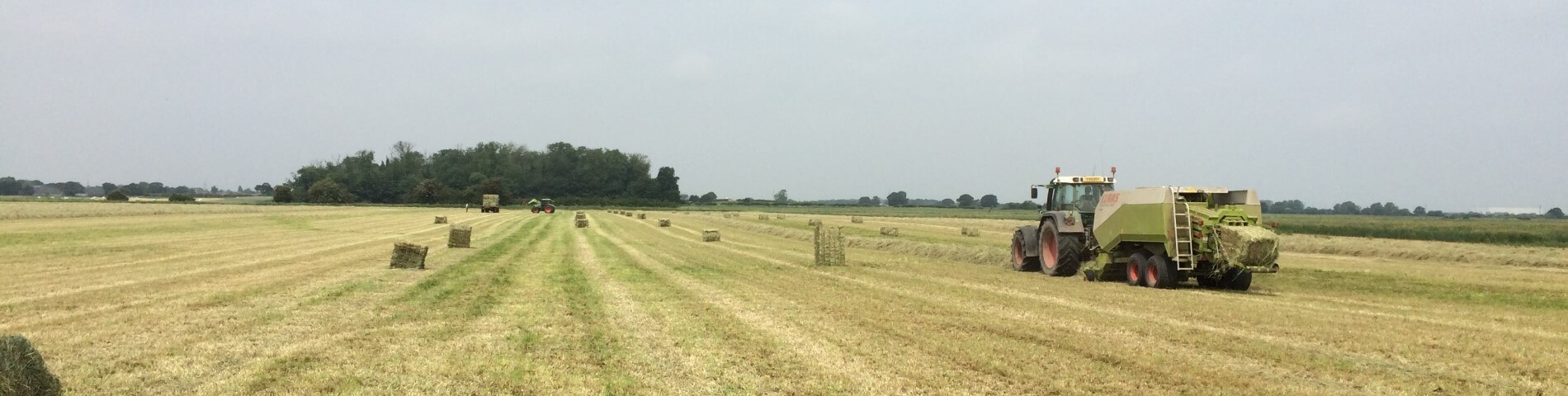 The different forms of haylage and hay - which one is right for your horse?