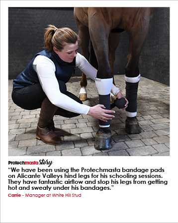 Protechmasta Story | Carrie, White Hill Stud