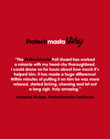 Protechmasta Story | Johanne Picken